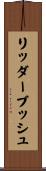 リッダーブッシュ Scroll