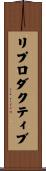 リプロダクティブ Scroll