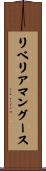 リベリア・マングース Scroll