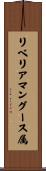 リベリアマングース属 Scroll