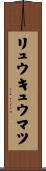 リュウキュウマツ Scroll