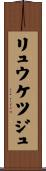 リュウケツジュ Scroll