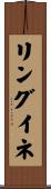 リングイネ Scroll