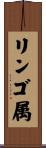 リンゴ属 Scroll