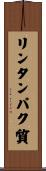 リンタンパク質 Scroll