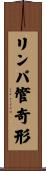 リンパ管奇形 Scroll