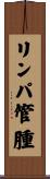 リンパ管腫 Scroll