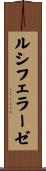 ルシフェラーゼ Scroll
