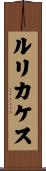 ルリカケス Scroll