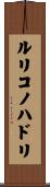 ルリコノハドリ Scroll