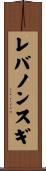 レバノンスギ Scroll