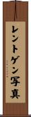 レントゲン写真 Scroll