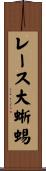 レース大蜥蜴 Scroll