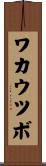 ワカウツボ Scroll