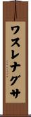 ワスレナグサ Scroll
