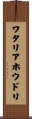 ワタリアホウドリ Scroll