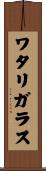 ワタリガラス Scroll