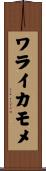 ワライカモメ Scroll