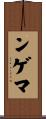 ンゲマ Scroll