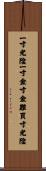 一寸光陰一寸金，寸金難買寸光陰 Scroll