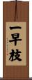 一早枝 Scroll