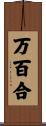 万百合 Scroll