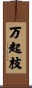 万起枝 Scroll