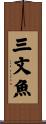 三文魚 Scroll