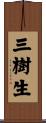 三樹生 Scroll