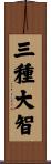 三種大智 Scroll