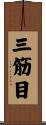 三筋目 Scroll