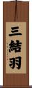 三結羽 Scroll