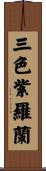 三色紫羅蘭 Scroll