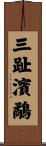 三趾濱鷸 Scroll