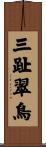 三趾翠鳥 Scroll