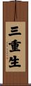 三重生 Scroll