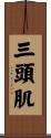 三頭肌 Scroll