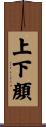 上下顔 Scroll