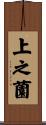 上之薗 Scroll