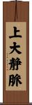 上大静脈 Scroll