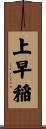 上早稲 Scroll
