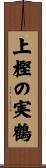 上樫の実鶴 Scroll