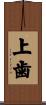 上歯 Scroll