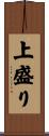 上盛り Scroll