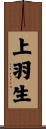 上羽生 Scroll