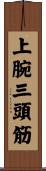 上腕三頭筋 Scroll