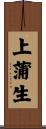 上蒲生 Scroll