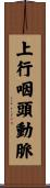 上行咽頭動脈 Scroll