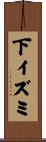 下イズミ Scroll