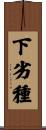 下劣種 Scroll